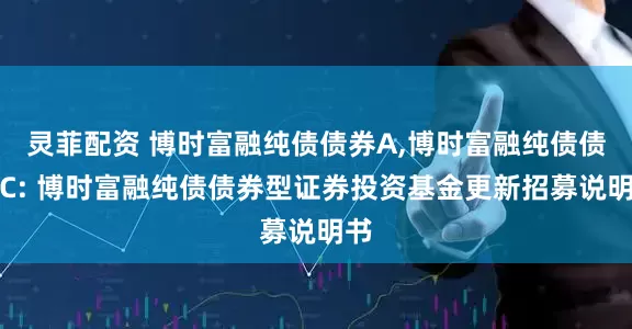 灵菲配资 博时富融纯债债券A,博时富融纯债债券C: 博时富融纯债债券型证券投资基金更新招募说明书
