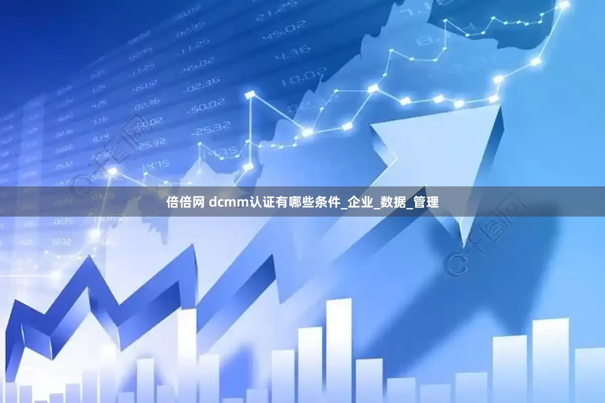 倍倍网 dcmm认证有哪些条件_企业_数据_管理