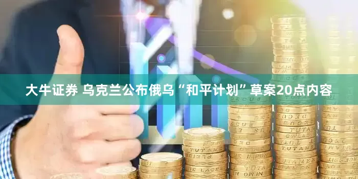 大牛证券 乌克兰公布俄乌“和平计划”草案20点内容