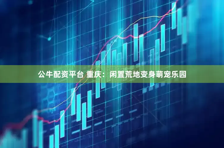 公牛配资平台 重庆：闲置荒地变身萌宠乐园