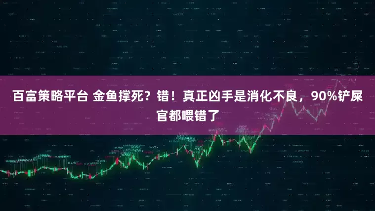 百富策略平台 金鱼撑死？错！真正凶手是消化不良，90%铲屎官都喂错了
