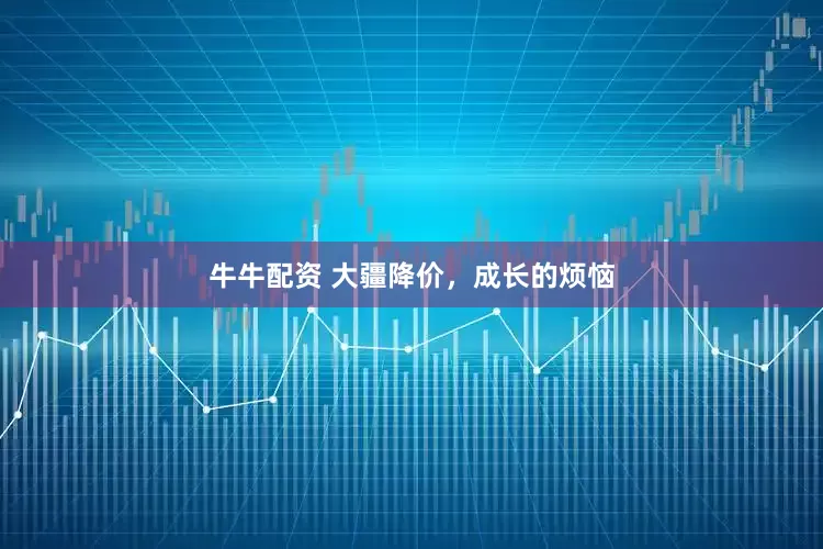 牛牛配资 大疆降价，成长的烦恼
